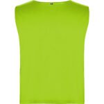 Variation picture for VERDE FLUOR