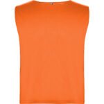 Variation picture for NARANJA FLUOR