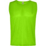 Variation picture for VERDE FLUOR