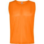 Variation picture for NARANJA FLUOR