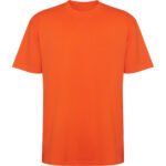 Variation picture for NARANJA FUEGO