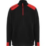 Variation picture for NEGRO/ROJO